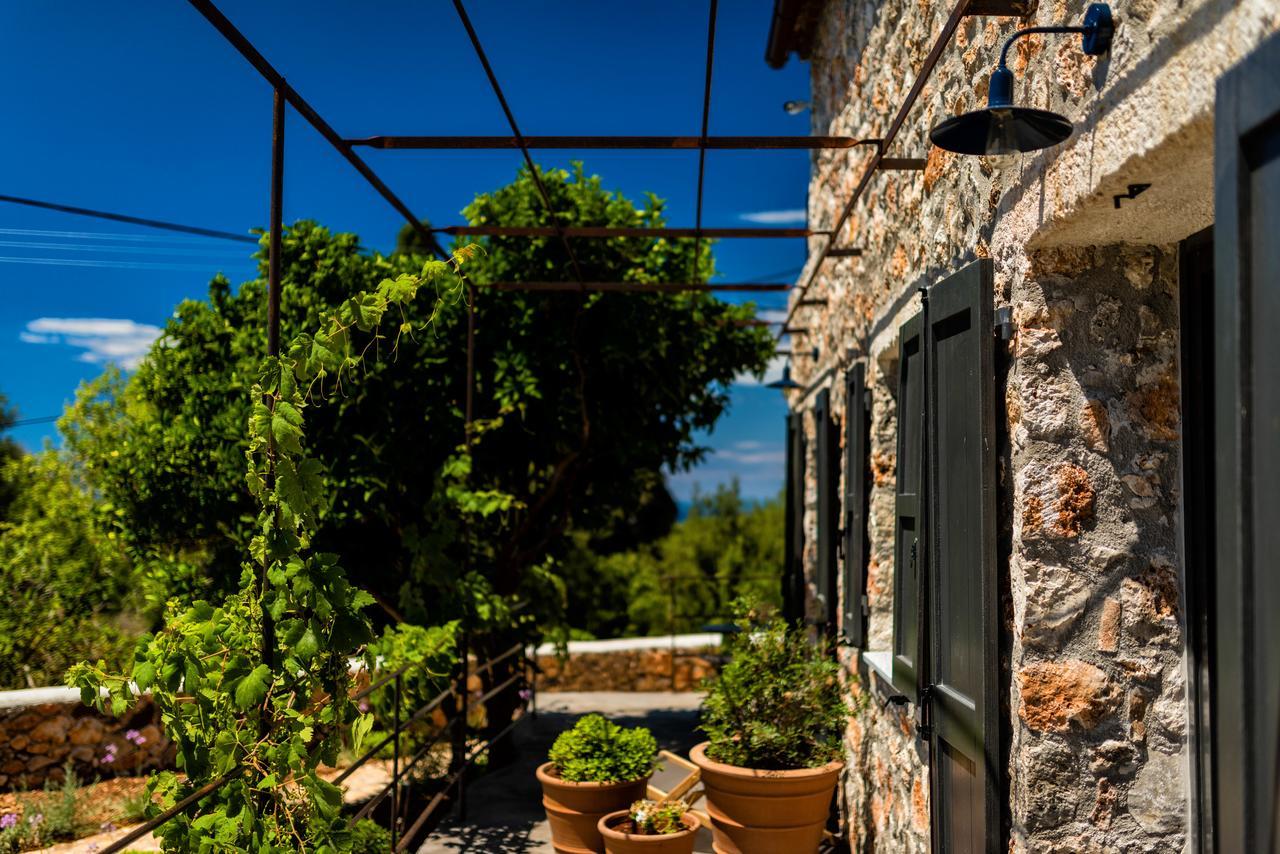 North Point Rooms Antipata (Erisos) Exterior foto