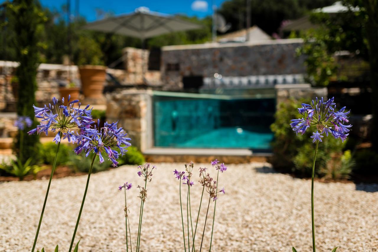 North Point Rooms Antipata (Erisos) Exterior foto